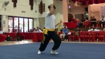 Human Mobile Stage 98, 2015 Zhou Jia Quan Int'l conference@Singapore, Lion Dance Kung Fu