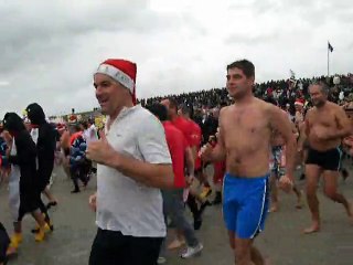 Baignade Otaries  à St. Gildas de Rhuys le 20 Décembre 2015