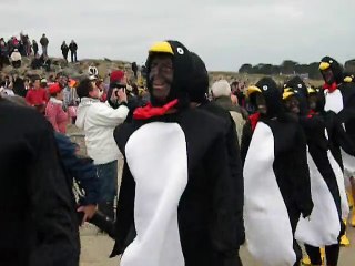 Baignade Otaries 2015 les pingouins de Plescop