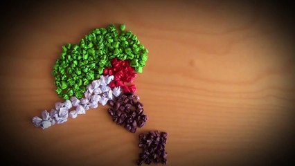 The Advantages Of Green Energy