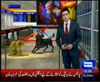 Warid Merge Mobilink Dunya News