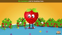 Strawberry - Fruit Rhyme