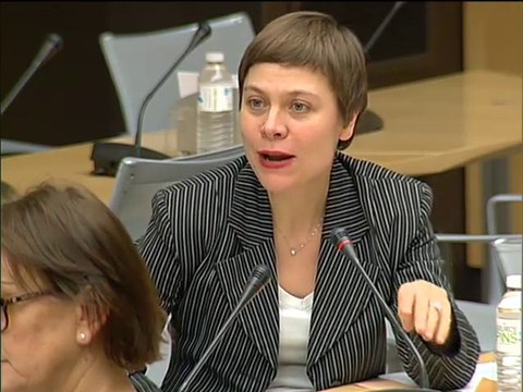 Ma question à Laurent Fabius en commission des affaires économiques