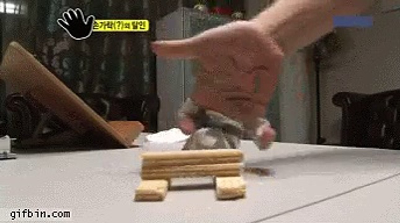 La mano karateka!!!