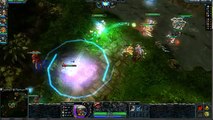 Heroes of Newerth напал проебал attacked fuck