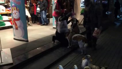 İstiklal Caddesi'nde Ördek Sürüsüyle Gezen Adam !