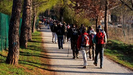 2008-02-10 Bibemus et Ste Victoire