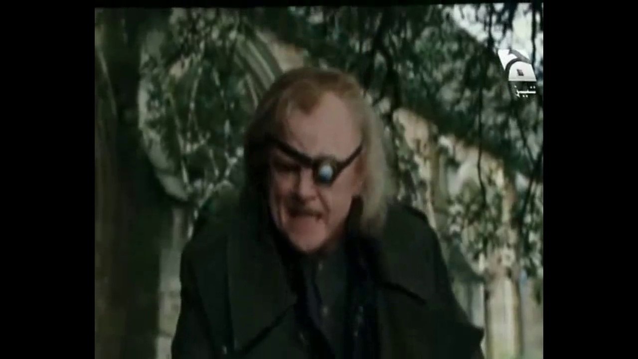 Harry Poter Chitti Bandri New Tezabi Totay