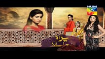 Mera Dard Na Jany Koi Episode 41 Promo HUM TV Drama 22 Dec 2015 -