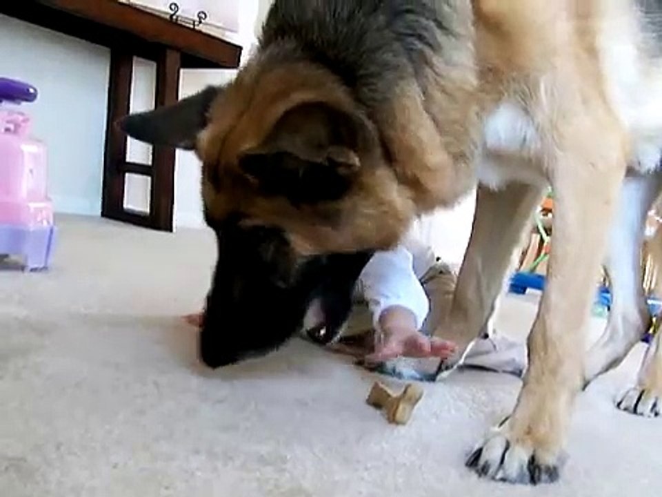 Ava steals Brano's Treat (See Brano in Book too).