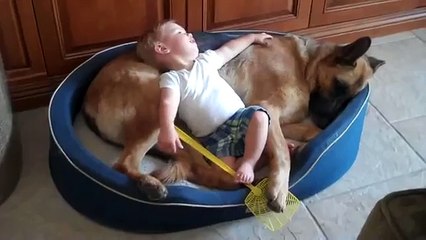 German Shepherd Dog Shares Bed with Baby Jack