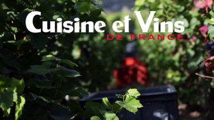 Les Champagnes Tarlant, une histoire de famille