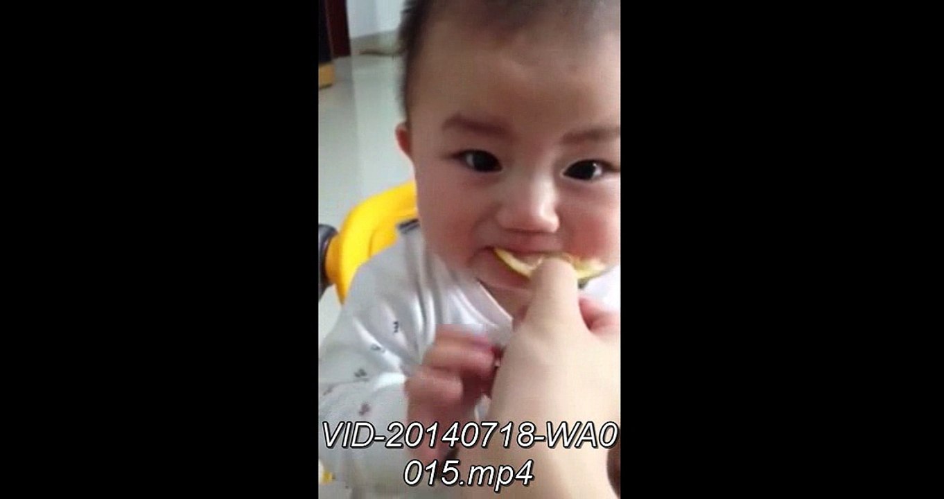 Whatsapp Funny Videos 2015 - 2016