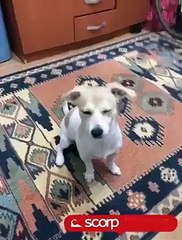Scorp'tan Seçmeler Yanındakine Sevişelim mi de