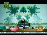 SHUMAIL E MUSTAFA (Allama Raza Saqib Mustafai) 20th December 2015