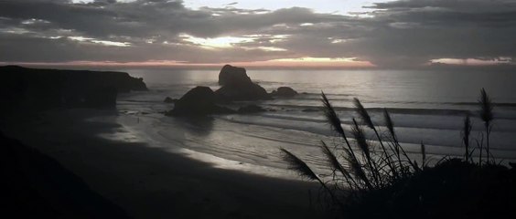 Robot Koch - Dark Waves feat Delhia de France  (Official Video)