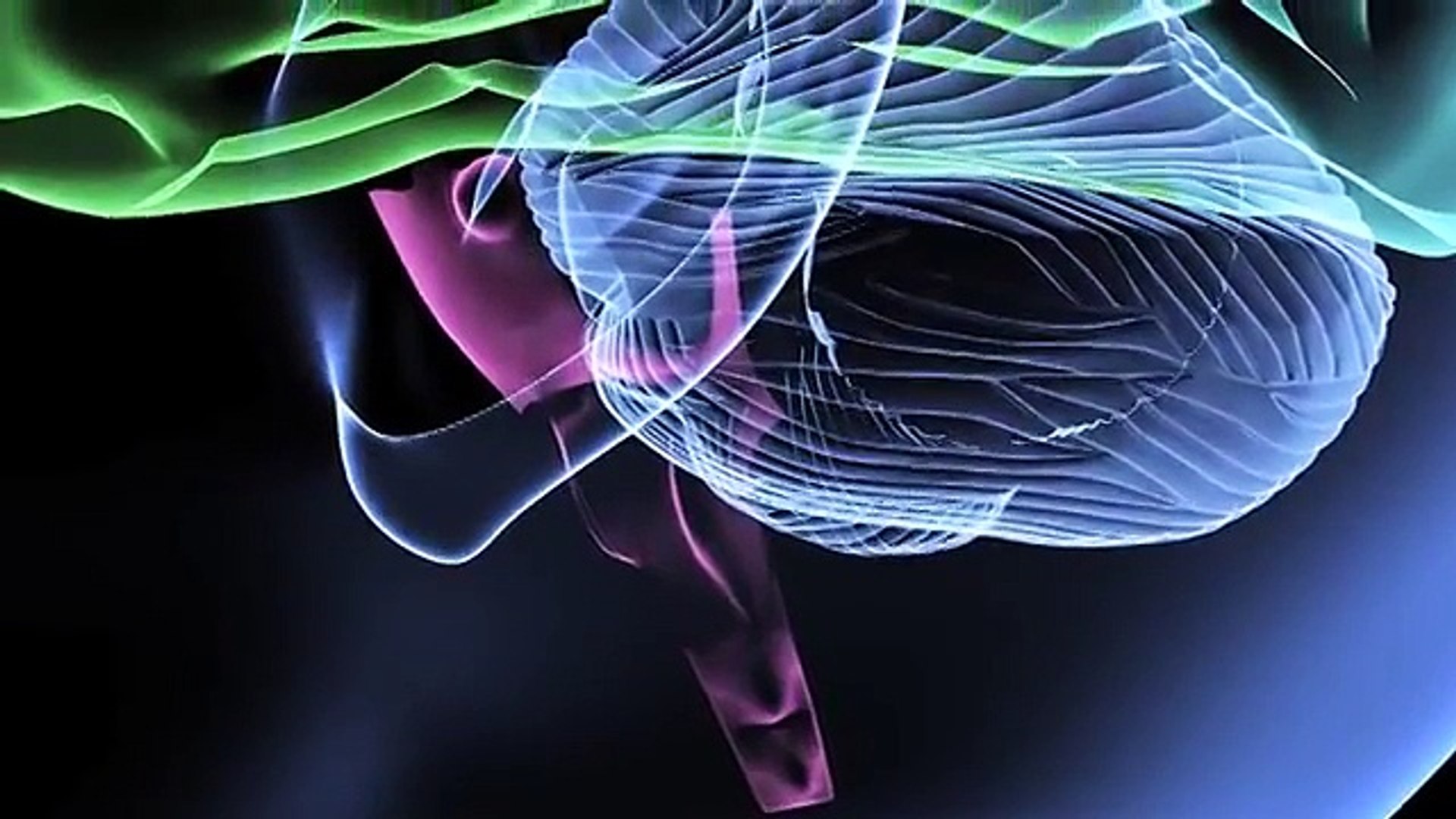 Dreams (Mini Documentary)