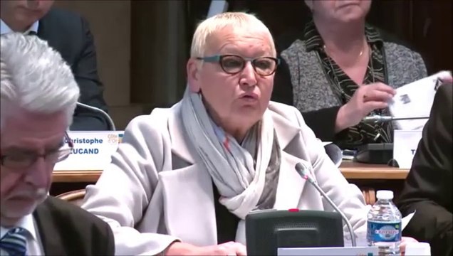 Colette POPARD et intervenants suivants. Prévention spécialisée. Décembre 2015.