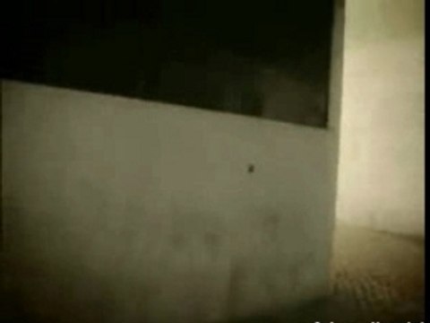 Adrenaline Laureus art du déplacement/parkour