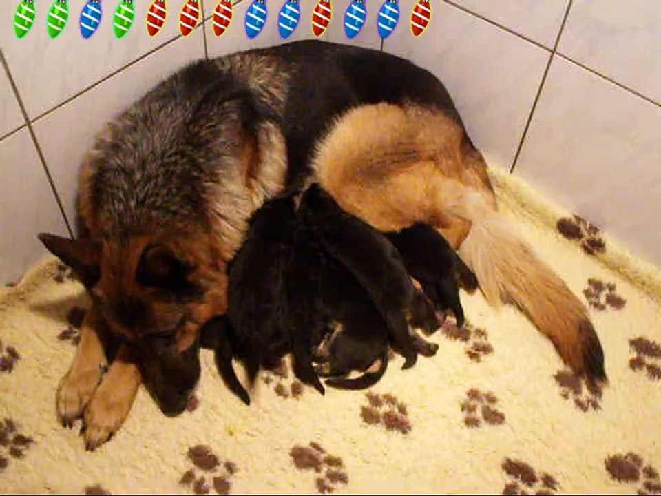 Fanta décembre 2015