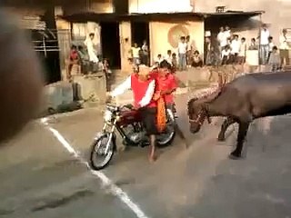 WhatsApp Latest Funny Video_(640x360)