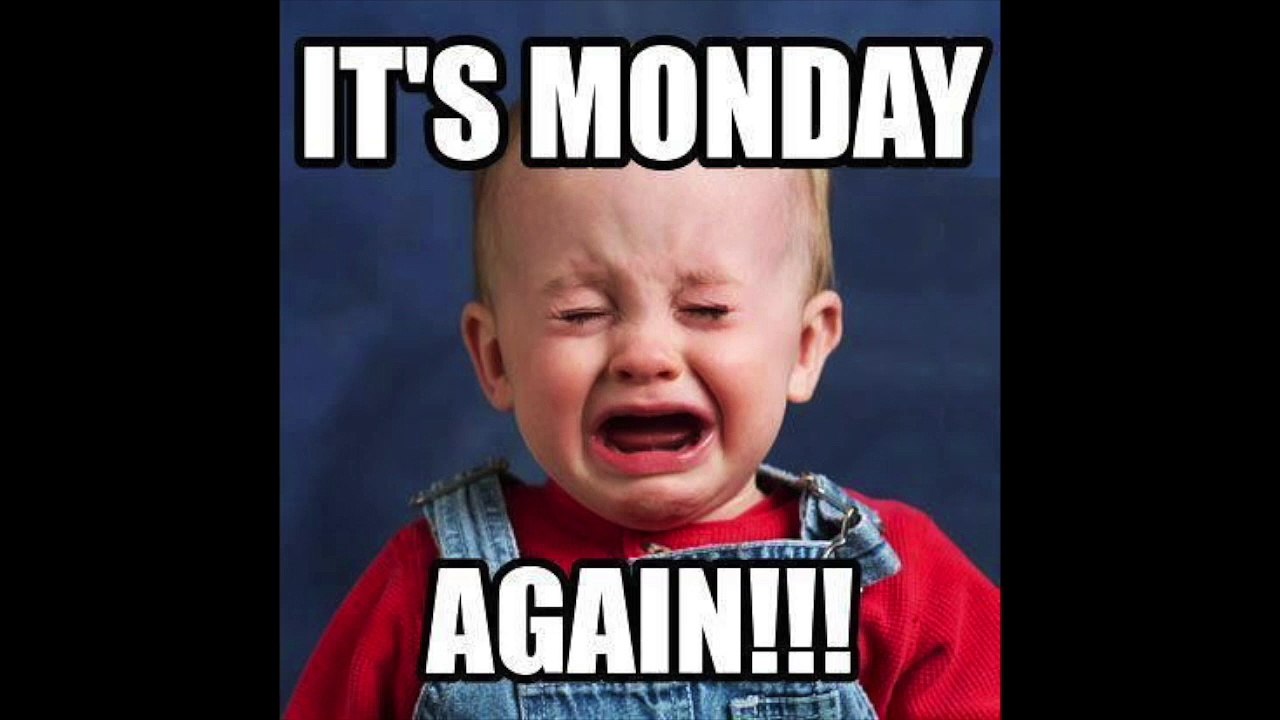 Monday joy and z57 reviews