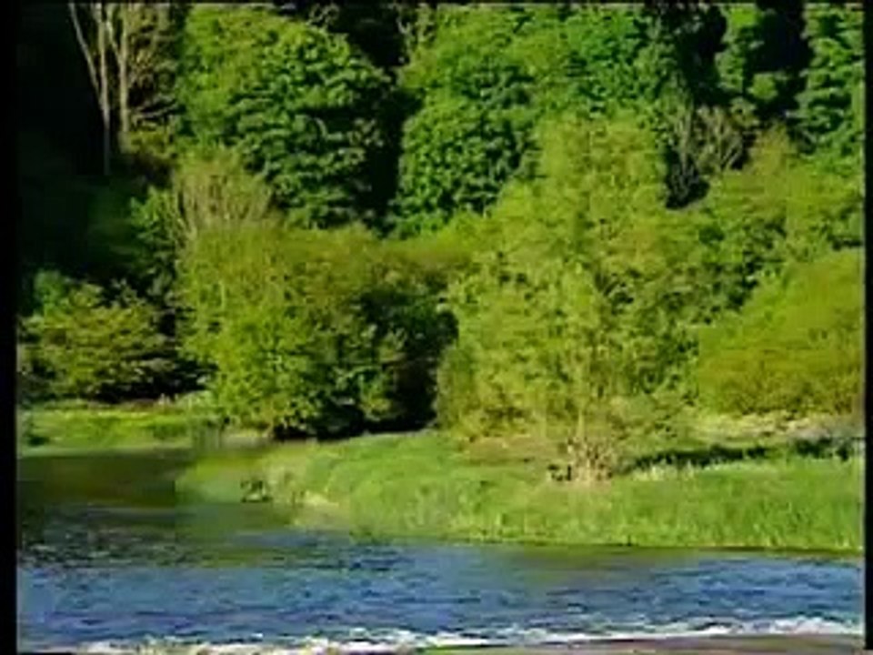 Bruce Springsteen Working On The Highway - Paris 85