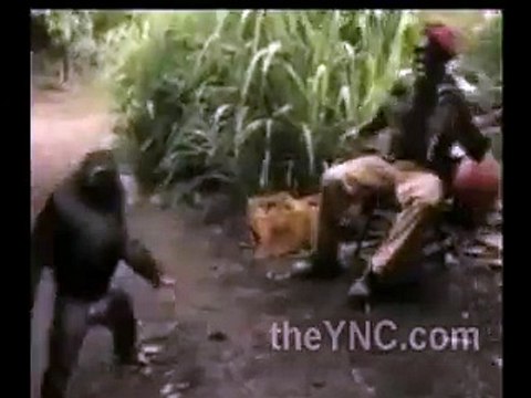 Un singe armé d'une kalashnikov fait peur à des soldats