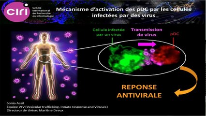 La santé, une fragilité des émergents ? : Sonia Assil, à l’ENS de Lyon présente sa thèse
