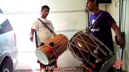Dholis mixing it up -