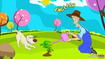Bingo – Nursery  Rhyme   Nursery Rhymes - Spanish (Canciones infantiles)