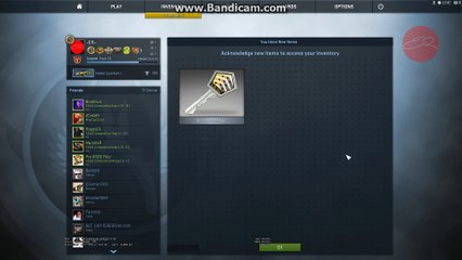Shadow Case Opened CS:GO