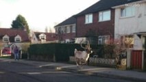 Santa loses one of his reindeer, causing chaos in the streets