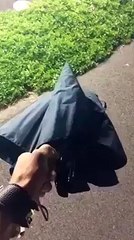Amazing flying umbrella hahaha?by fun and information