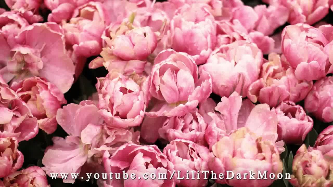 Romantic updo hairstyles for everyday for Medium and Long hair tutorial new
