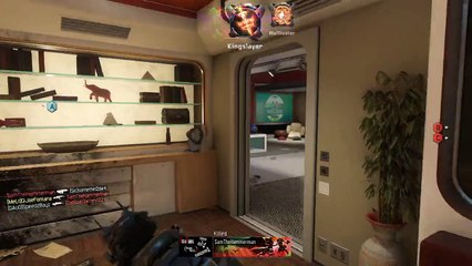 Feed
