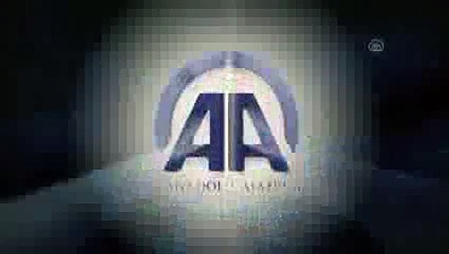 The best funny of 2016 В Сирии сбит российский Су 24_2