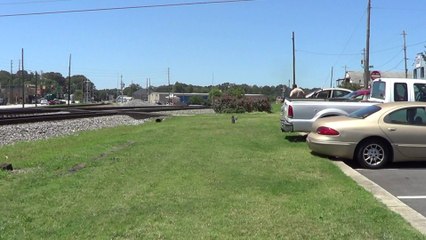 8-13-14 11:50 AM UP power leads NS 726 coal train SB through Austell Ga. with big lash up at rear.