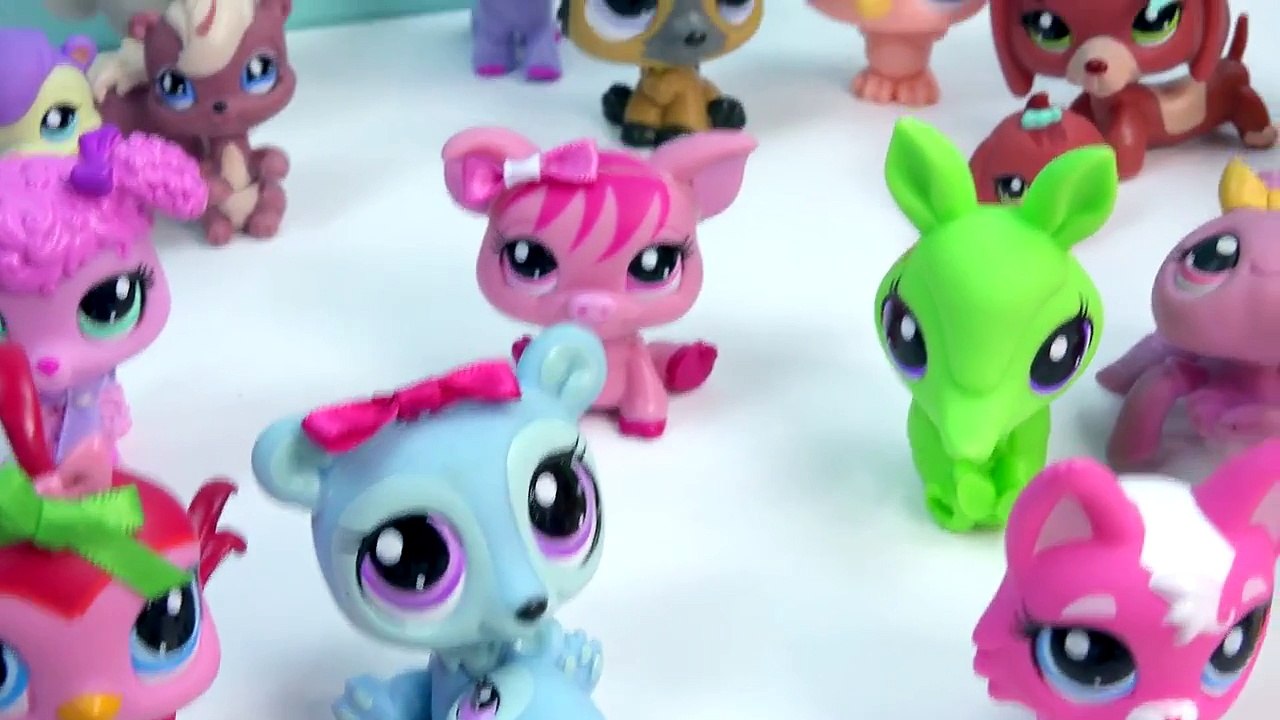 LPS Collection Tour Haul Series Videos Littlest Pet Shop Mommies School Sharks Cookieswirl