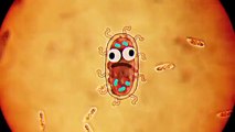 Възходът на бактериите | Невероятният свят на Гъмбол | Cartoon Network