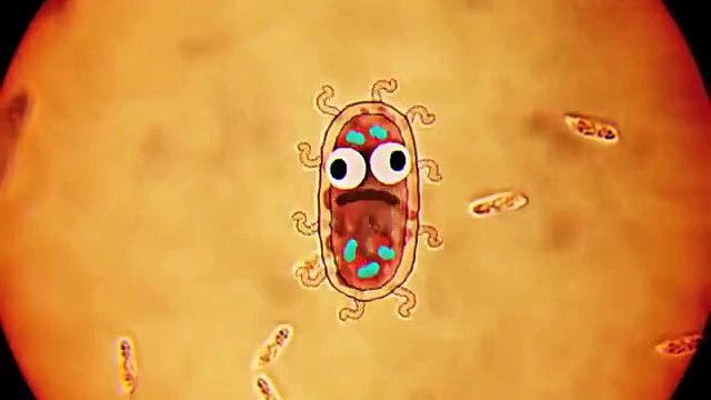 Възходът на бактериите | Невероятният свят на Гъмбол | Cartoon Network