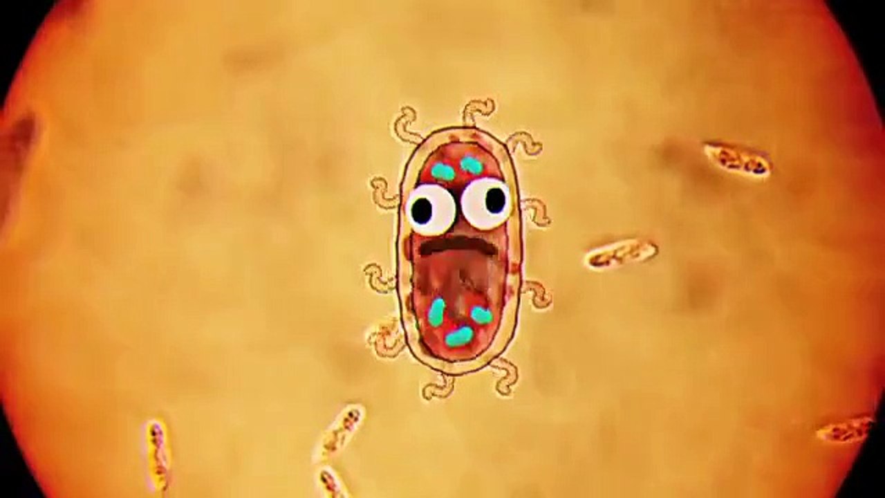 Възходът на бактериите | Невероятният свят на Гъмбол | Cartoon Network