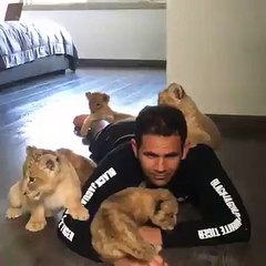 Playing with little tigers