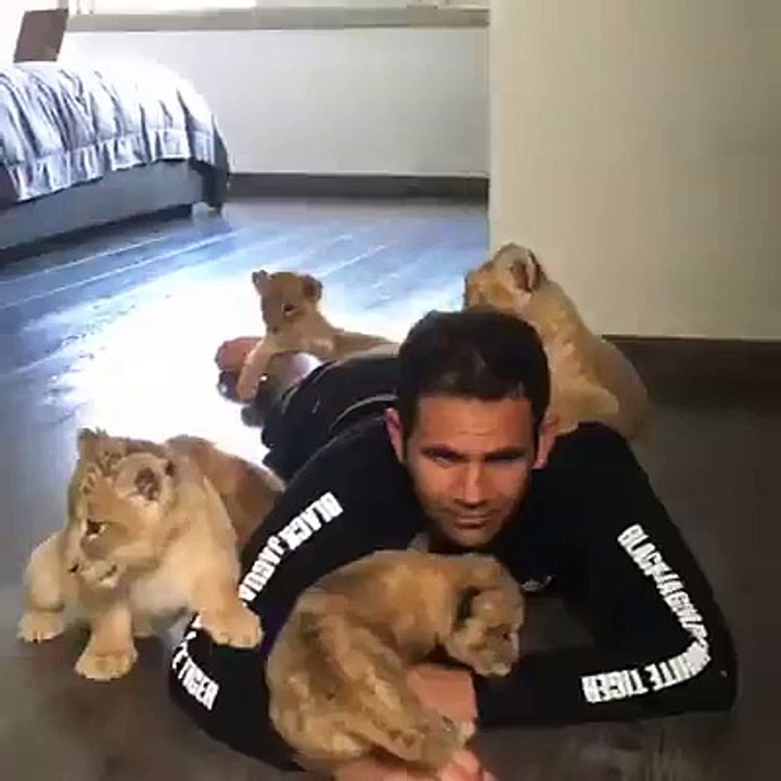 Playing with little tigers