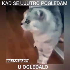 When i wake up in the morning and look at the mirror