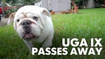 UGA IX passes away