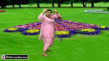 SAVERA PUNJABI MUJRA - DESI GIRL - PAKISTANI MUJRA DANCE 2014