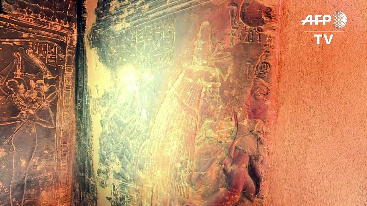 King Tut's wet nurse may have been his sister: expert