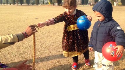 Kids playing with snake