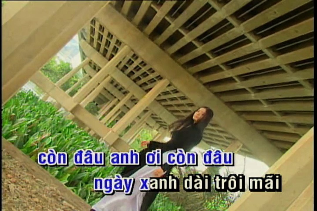 Tiễn Anh - Minh Tuyet karaoke HD